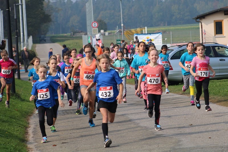 /d/evt/WaldenserlaufNeuhengstett/1597661535602.jpg
