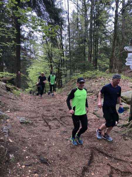 /d/evt/WaldsteinlaufKonradsreuth/1587653296900.jpg