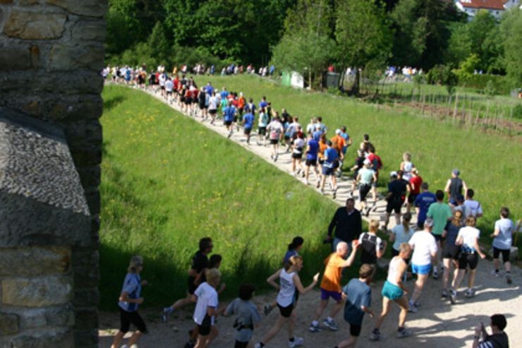 /d/evt/WelzheimerWaldLaeufeWelzheim/1599728729003.jpg