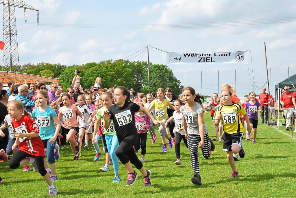 /d/evt/WlsterLaufWalstedde/1586557515269.jpg