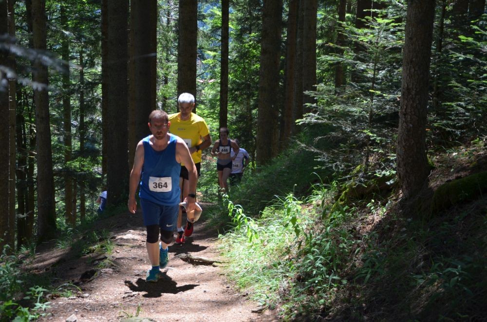 /d/evt/XTrailRunBreitnauBreitnau/1586541318597.jpg